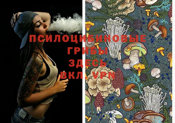 mix Вязьма