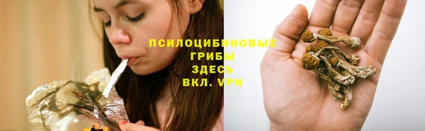 тгк Вязники