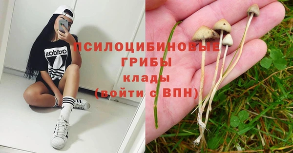 соль курить ск Горняк