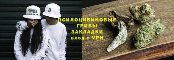 первитин Вяземский