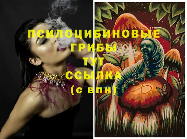 mix Вязьма