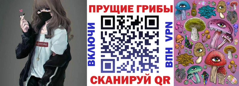 Галлюциногенные грибы Psilocybine cubensis  Купить закладки  Сим 